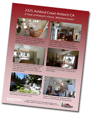 High-Quality Property Information Flyer-2