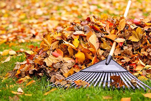 Prep your home for fall by raking the leaves