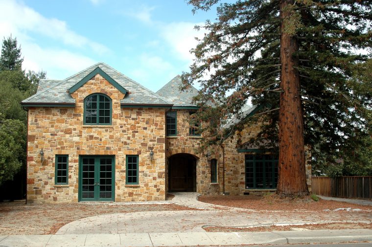 Coastal Redwood trees make poor choices for your landscape