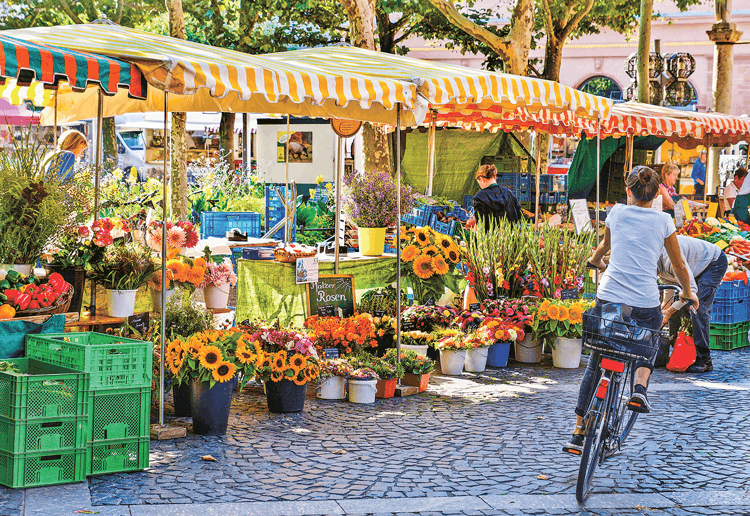 Brentwood CA Farmers Market