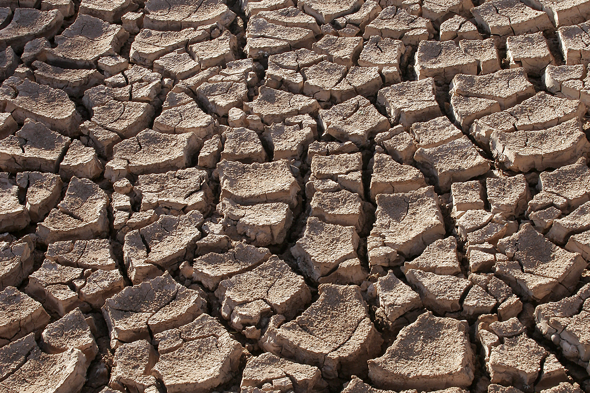 Articles about the dealing with the Drought in California