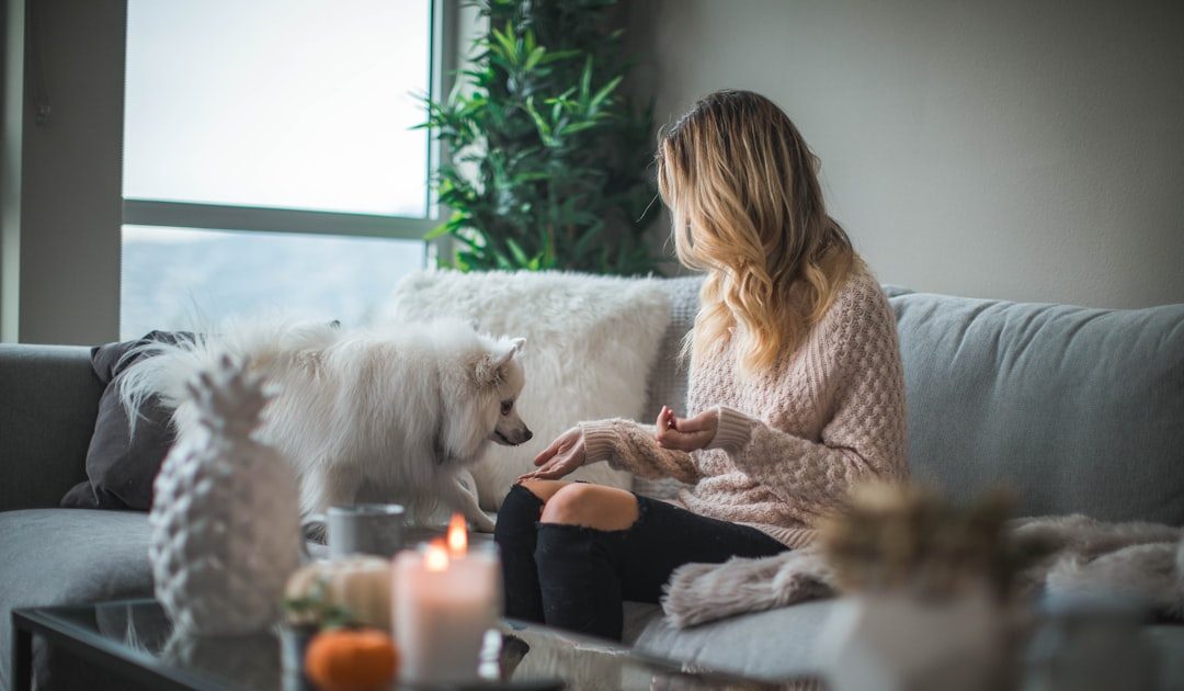 BUYER PRIORITY #3: Assistance & Incentives